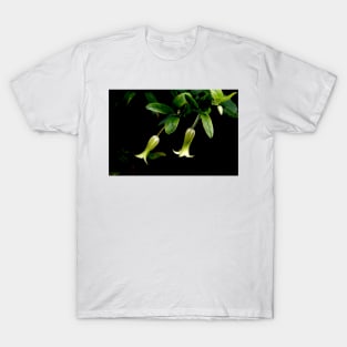 Billardiera - Apple Dumplings T-Shirt